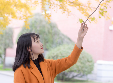 菲律宾大学国内认可度